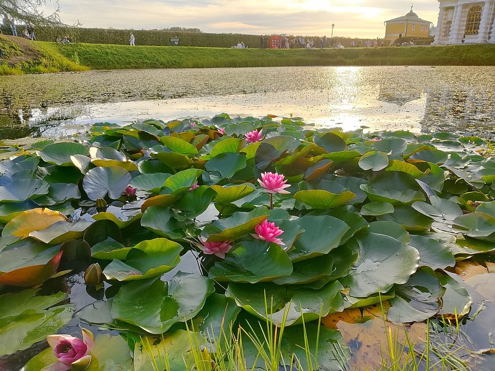 Photograph by Александр Гришин