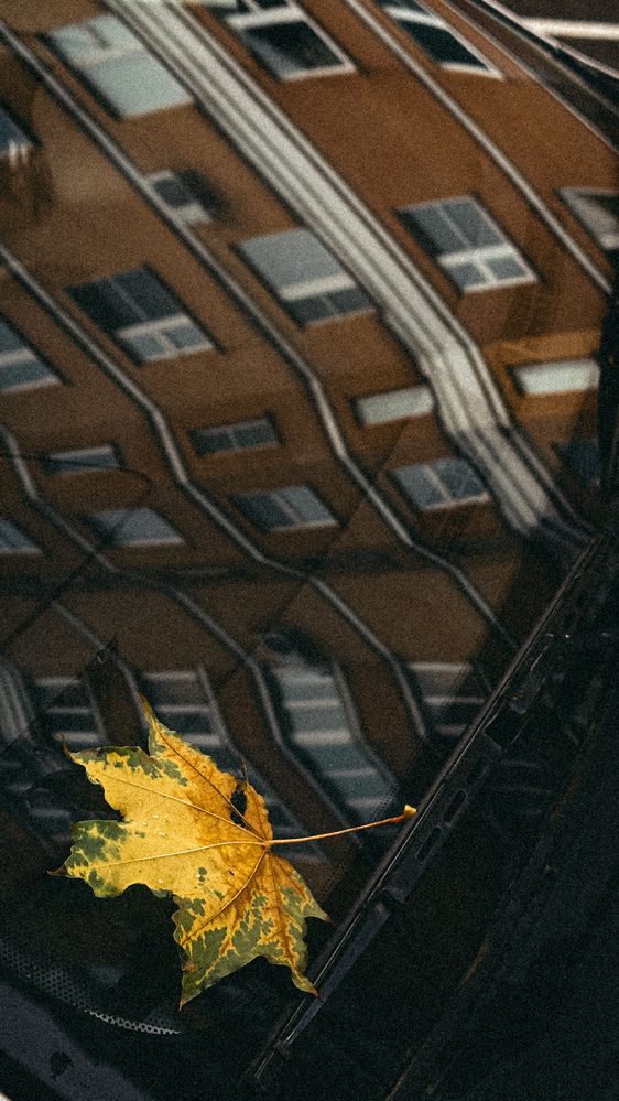 Фотография автора Наталья Тургулайнен