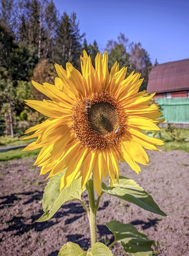 Photograph by Sergey Kurkov-Tarkovsky