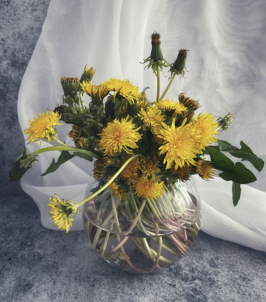 Фотография автора Рамзия Хисамутдинова