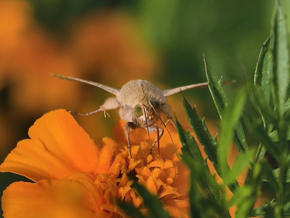 Photograph by Галина Бессуднова