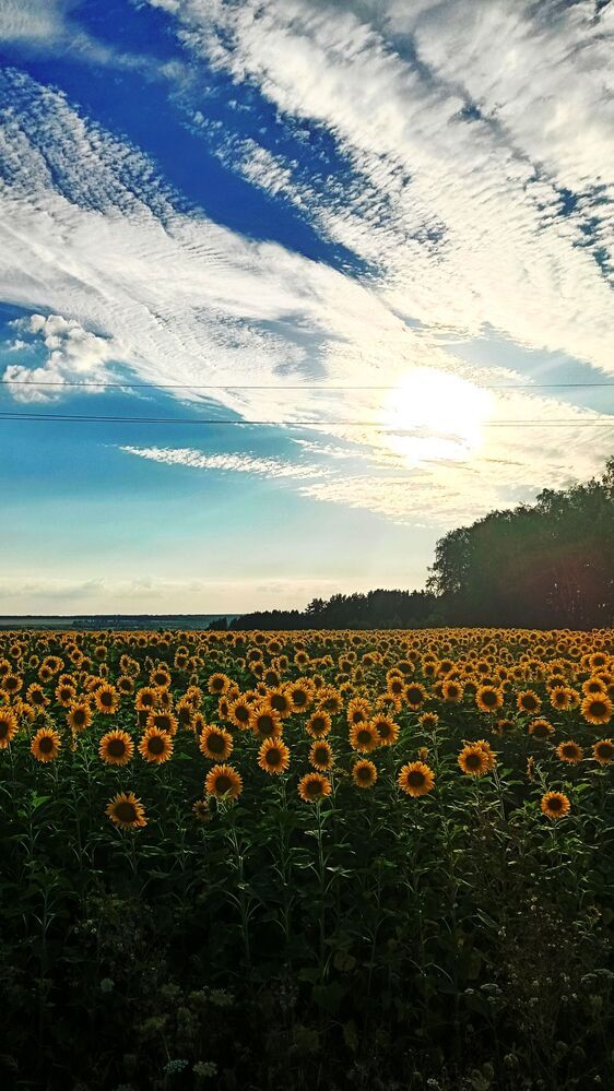 Photograph by Наталья