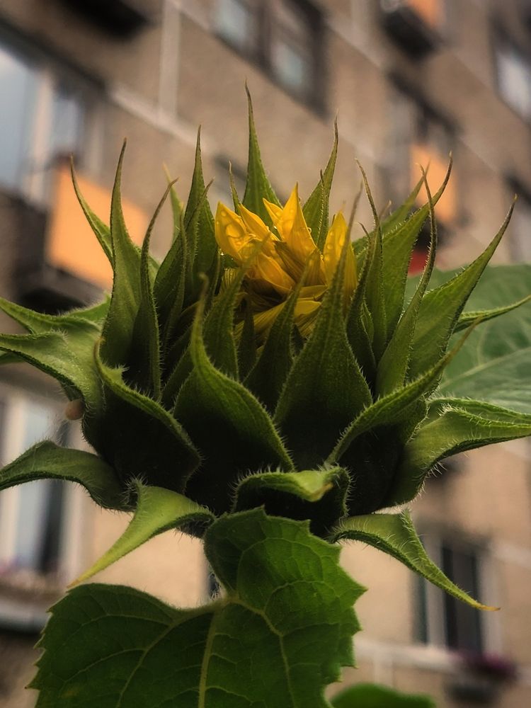 Photograph by Елена Иванова