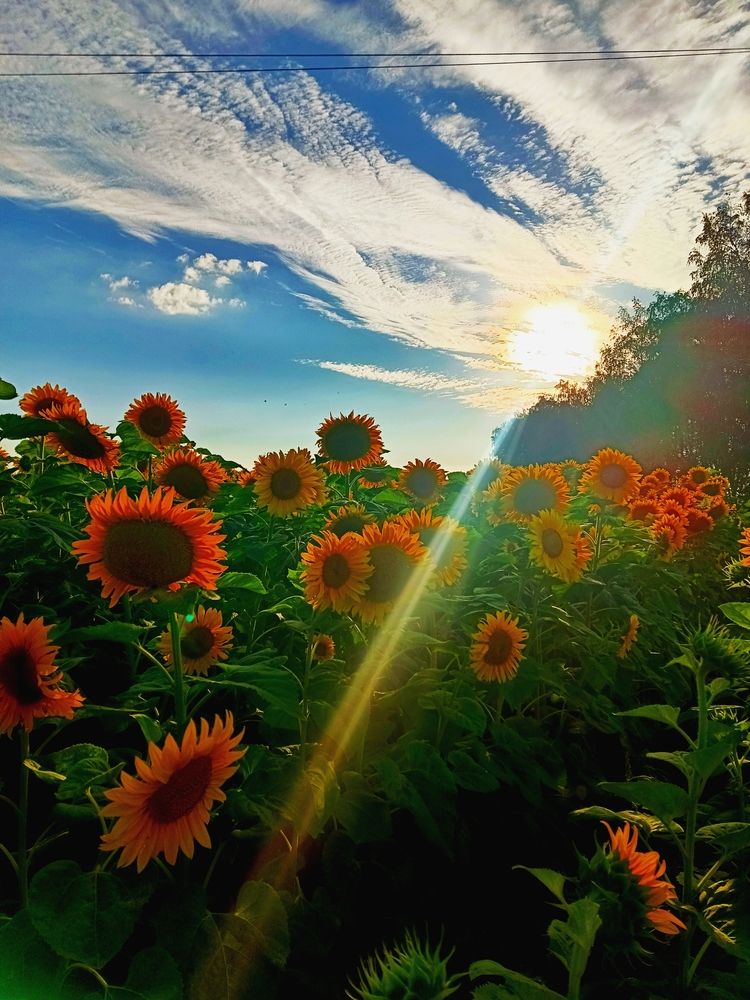 Photograph by Наталья