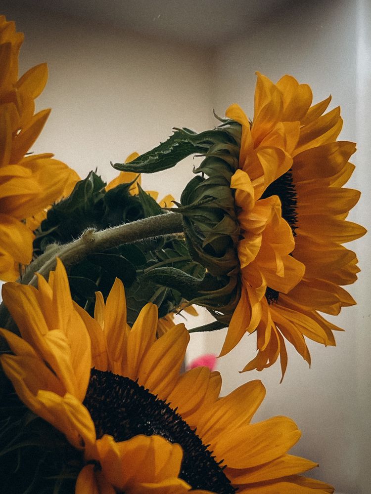 Photograph by Виктория Казакова