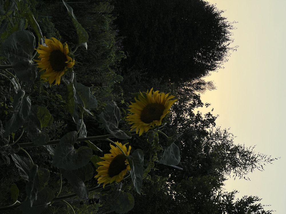 Photograph by Виктория Казакова