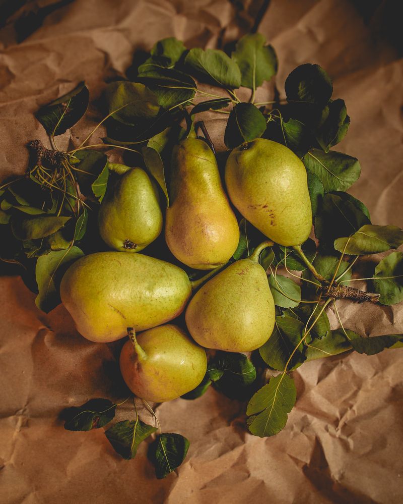 Photograph by Alexandra Sergeeva