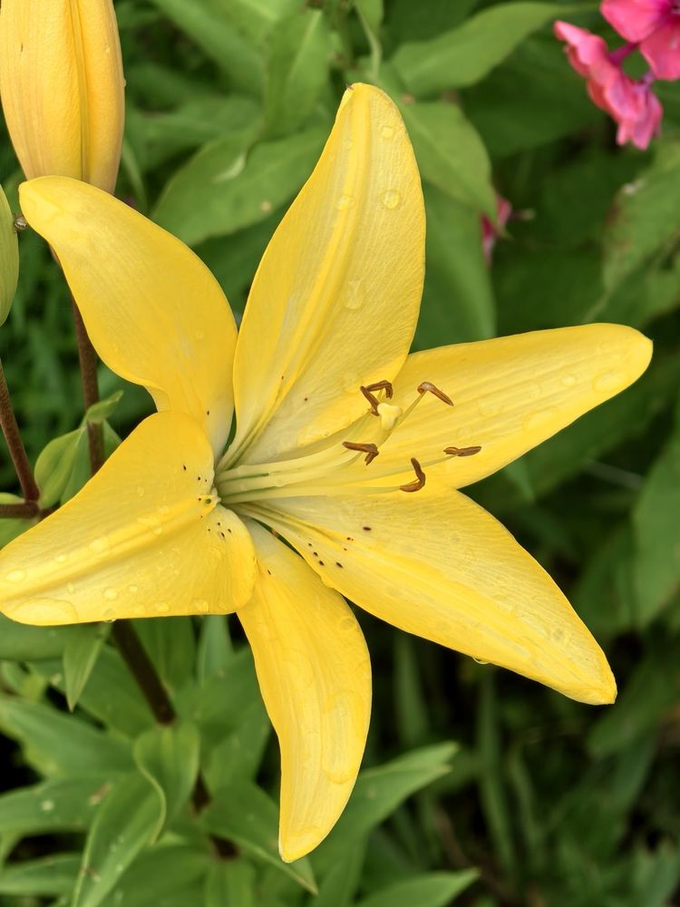 Photograph by Екатерина Борисовна Кузьмина