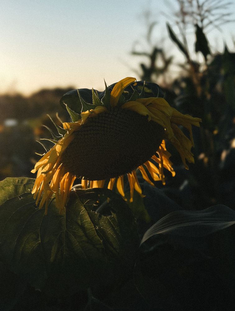 Фотография автора Наталья Тургулайнен