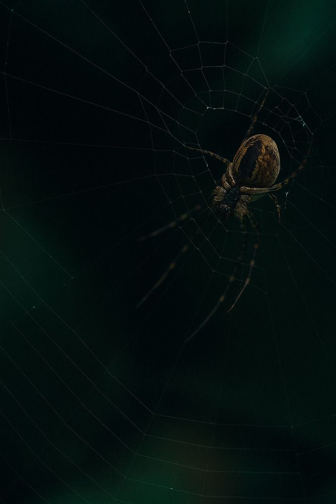 Photograph by Виктория Казакова