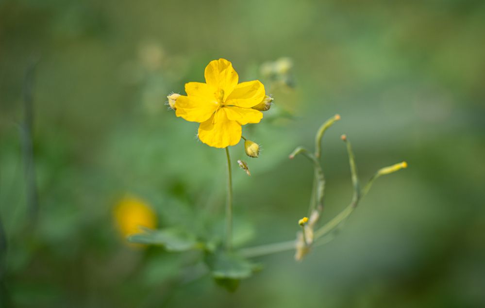 Photograph by Сергей Хранитель