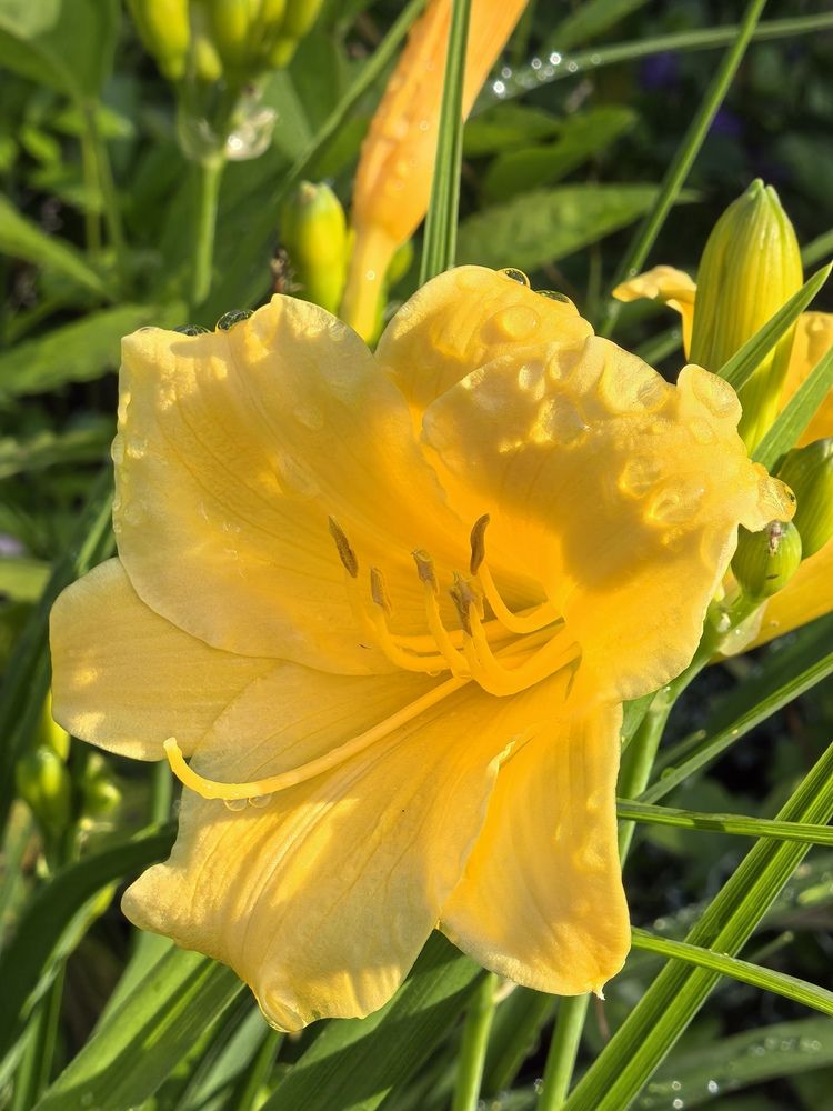 Photograph by Екатерина Борисовна Кузьмина