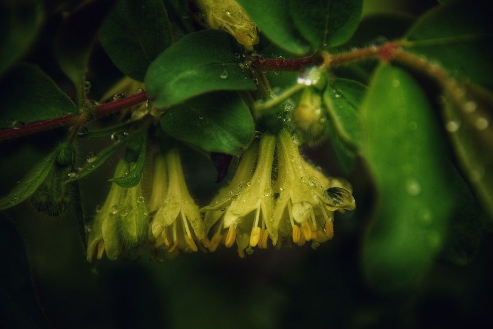 Photograph by Митюшкова Алёна