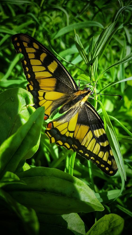 Photograph by Митюшкова Алёна