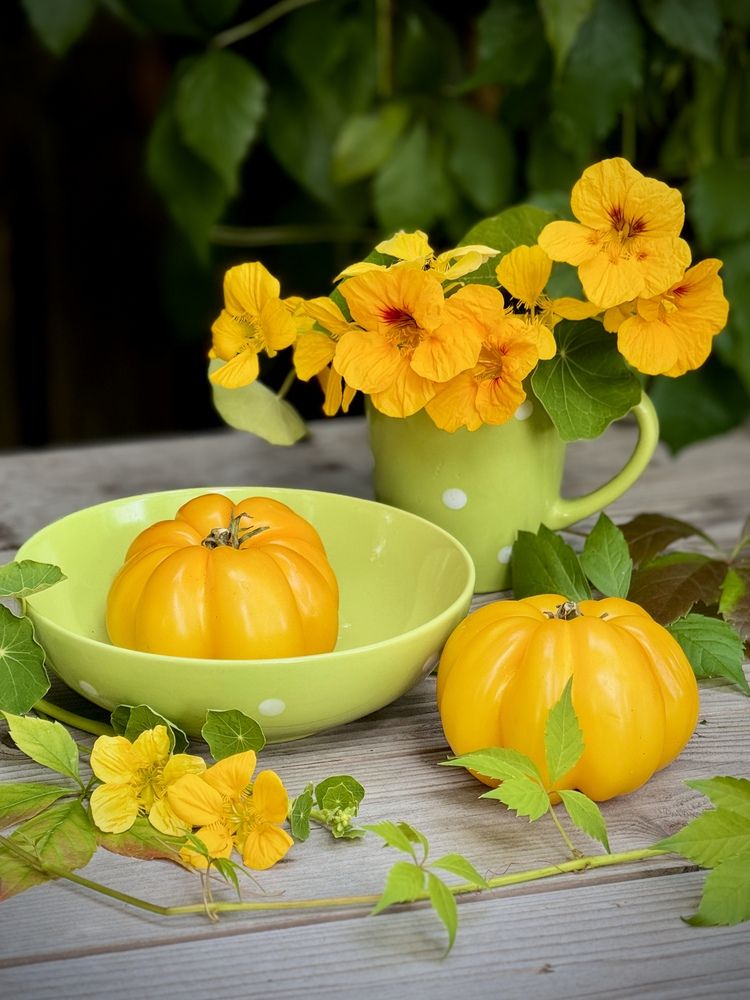 Томаты, помидоры