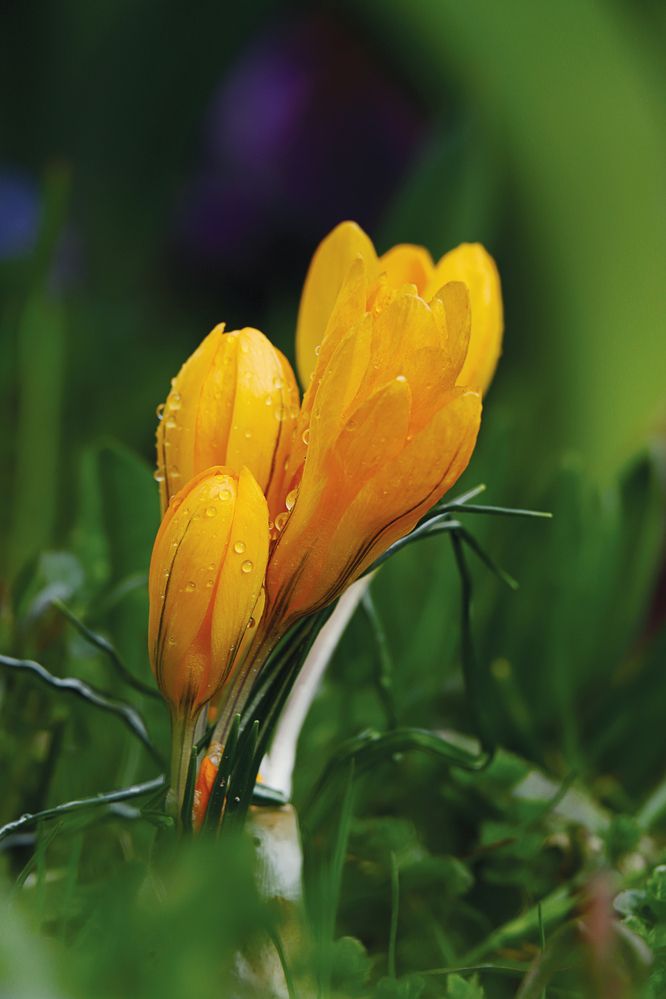 Photograph by Антон Леонов