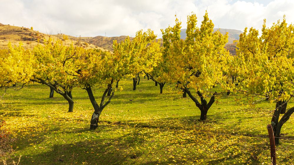 Photograph by Наталья Кокорина