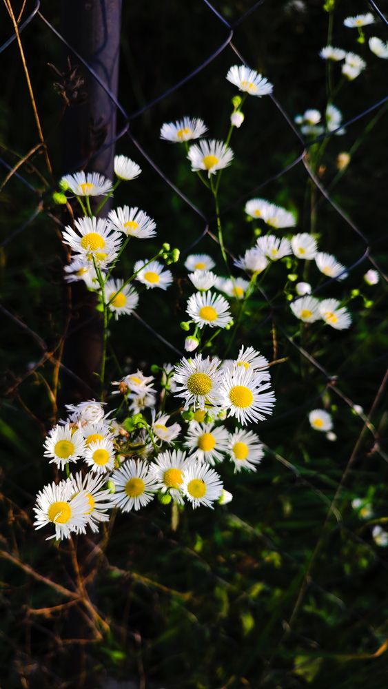 Photograph by Анастасия Гиринская