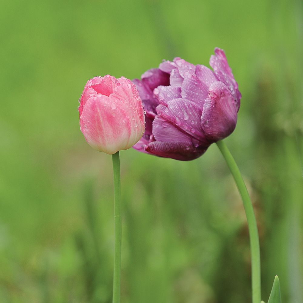 Photograph by Антон Леонов