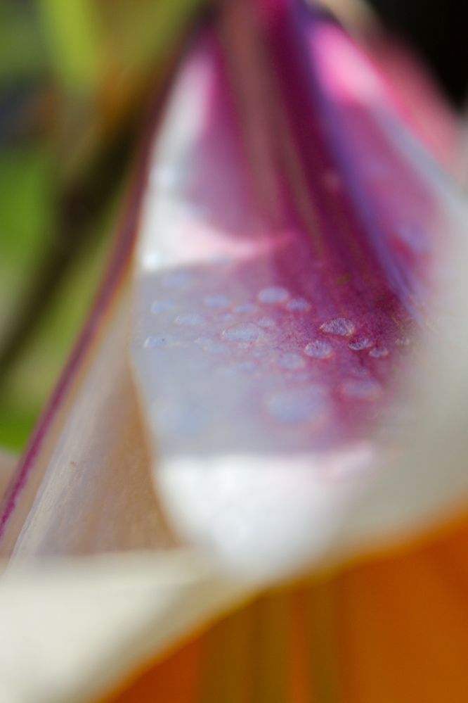 Photograph by Тамила Тищенко