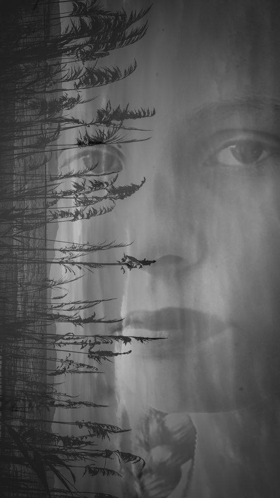 Photograph by Antonis Giakoumakis