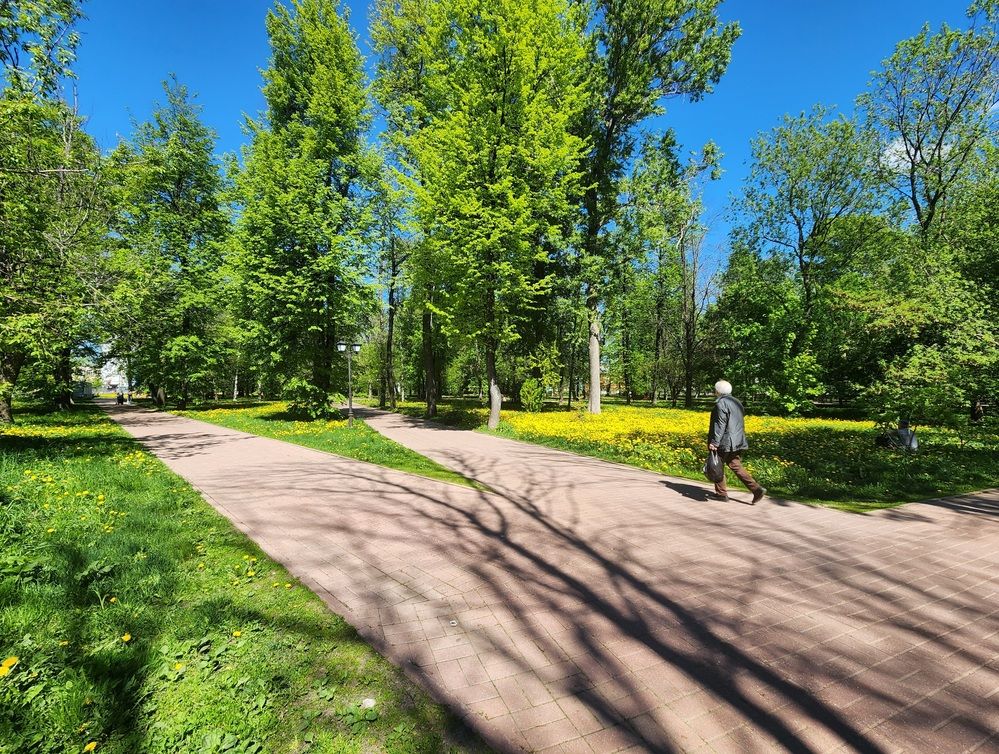 Photograph by Ксения Черных