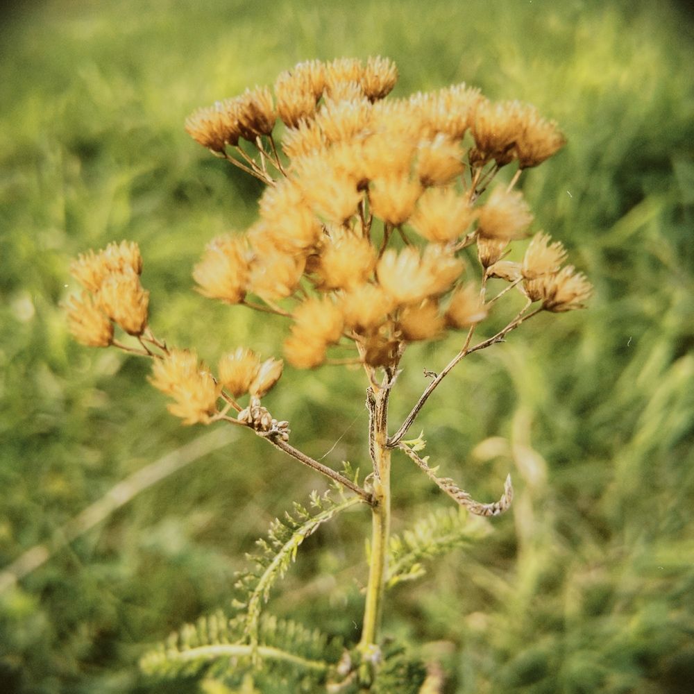 Photograph by Nadya Sterligova