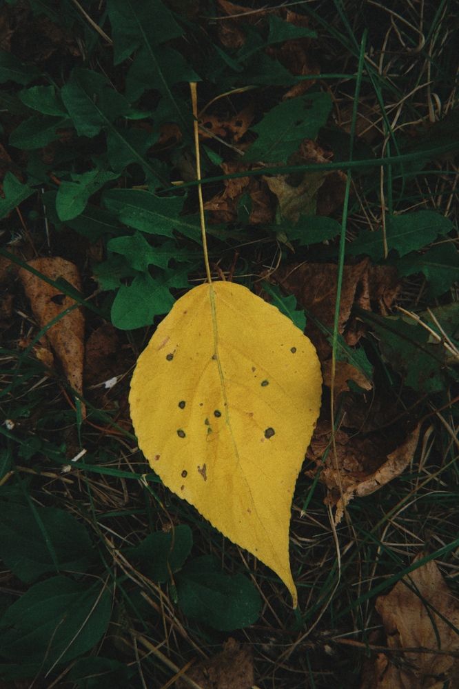 Photograph by Nadya Sterligova