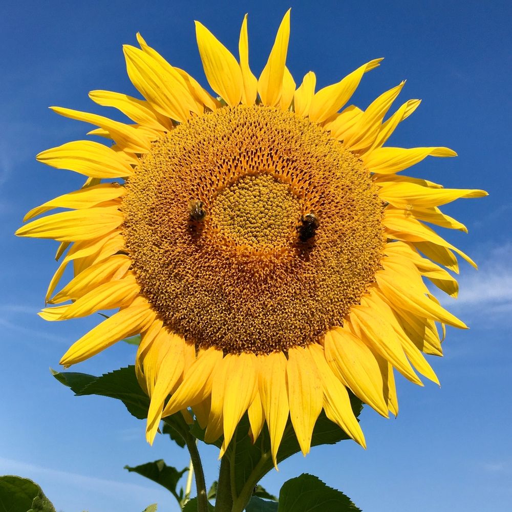 Photograph by Ионова Татьяна