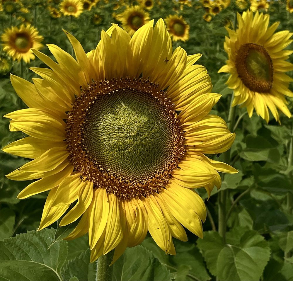 Photograph by Nadya Sterligova