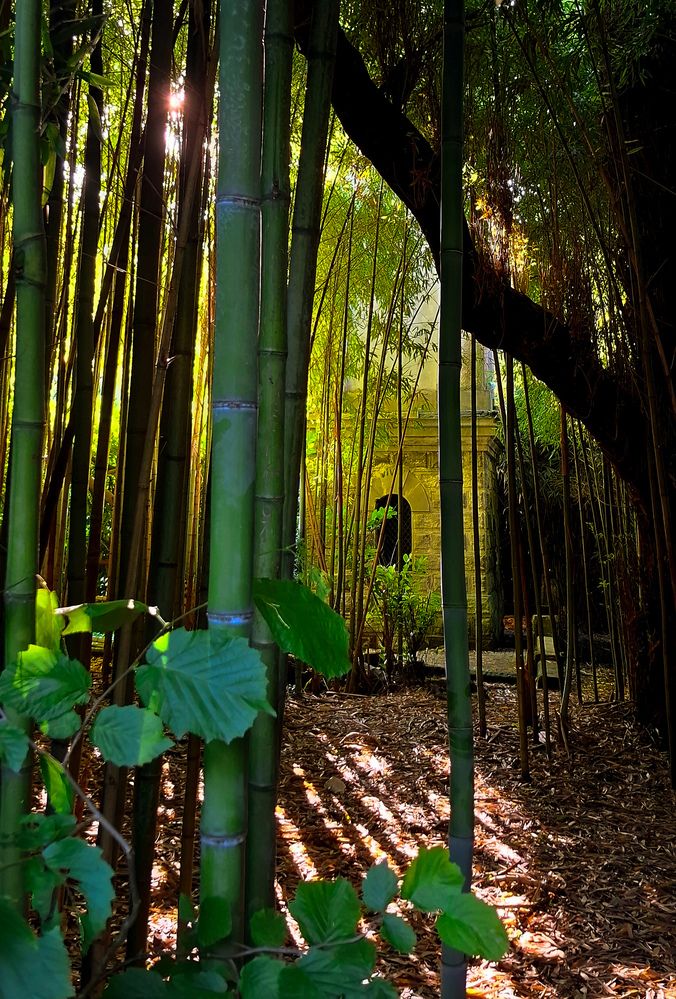 Фотография автора Asya