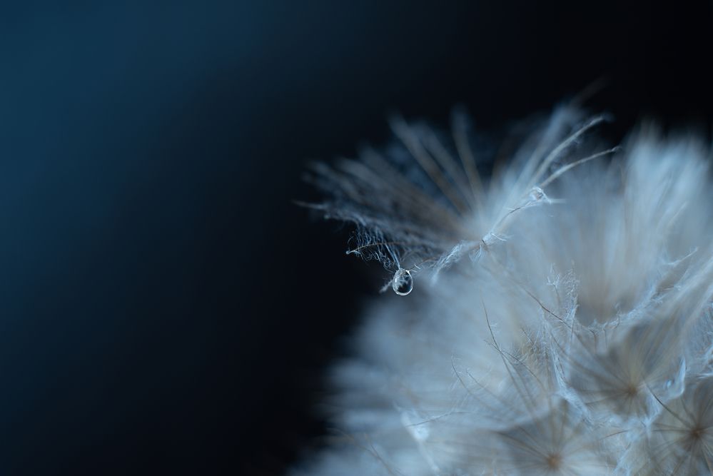 Фотография автора Viktoria Roschen