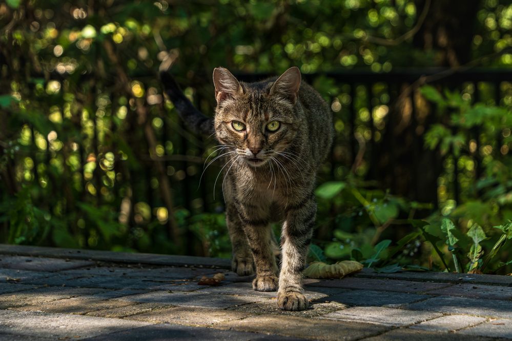 Photograph by Никита Борзов