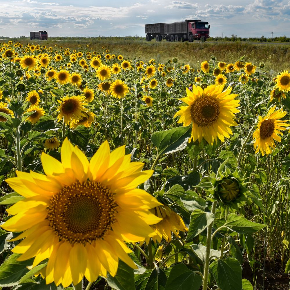 Photograph by Анна Стрелковская