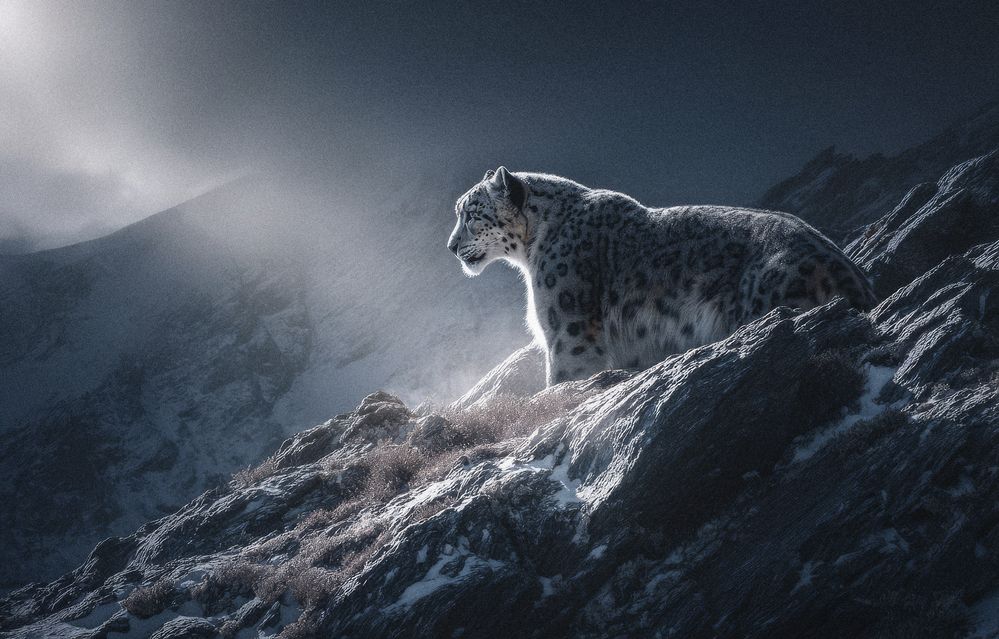 Фотография автора Онучина Юлия