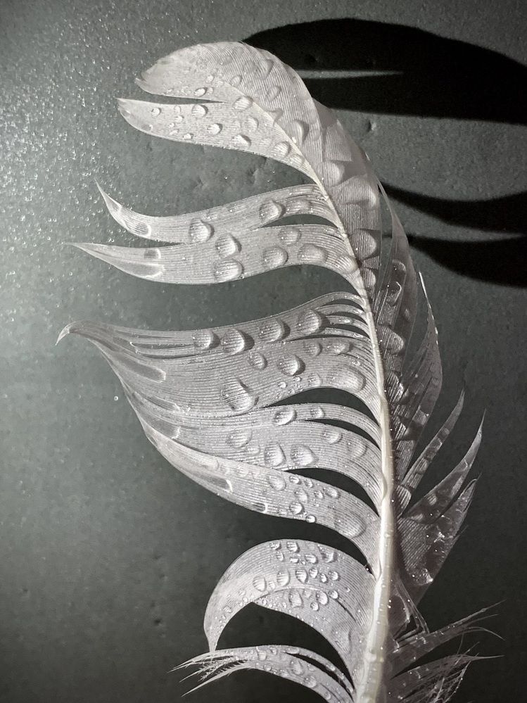 Photograph by Надежда Смирнова