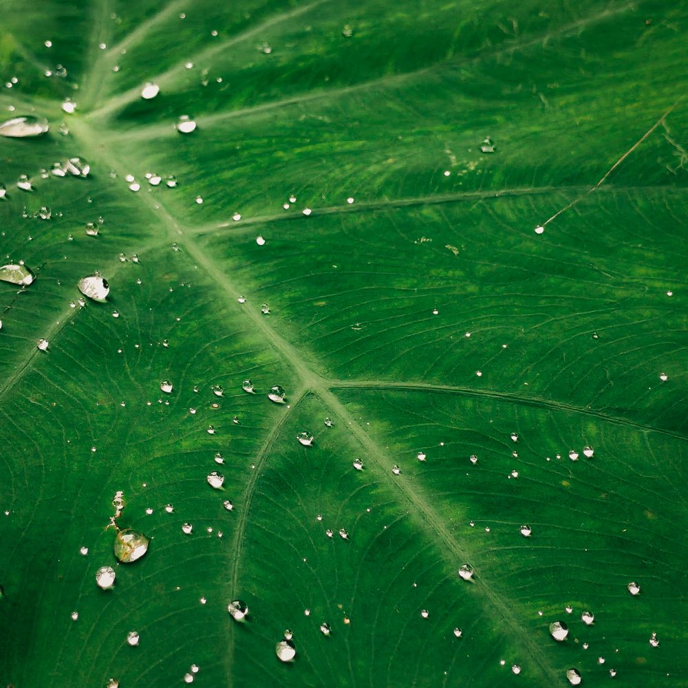 Photograph by LIMON DEY