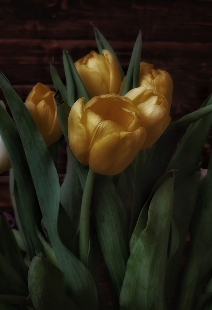 Photograph by Елена Иванова