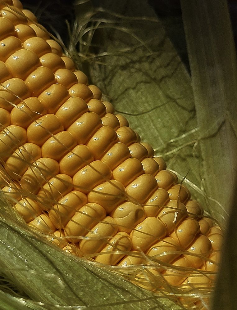 Photograph by Елена Иванова