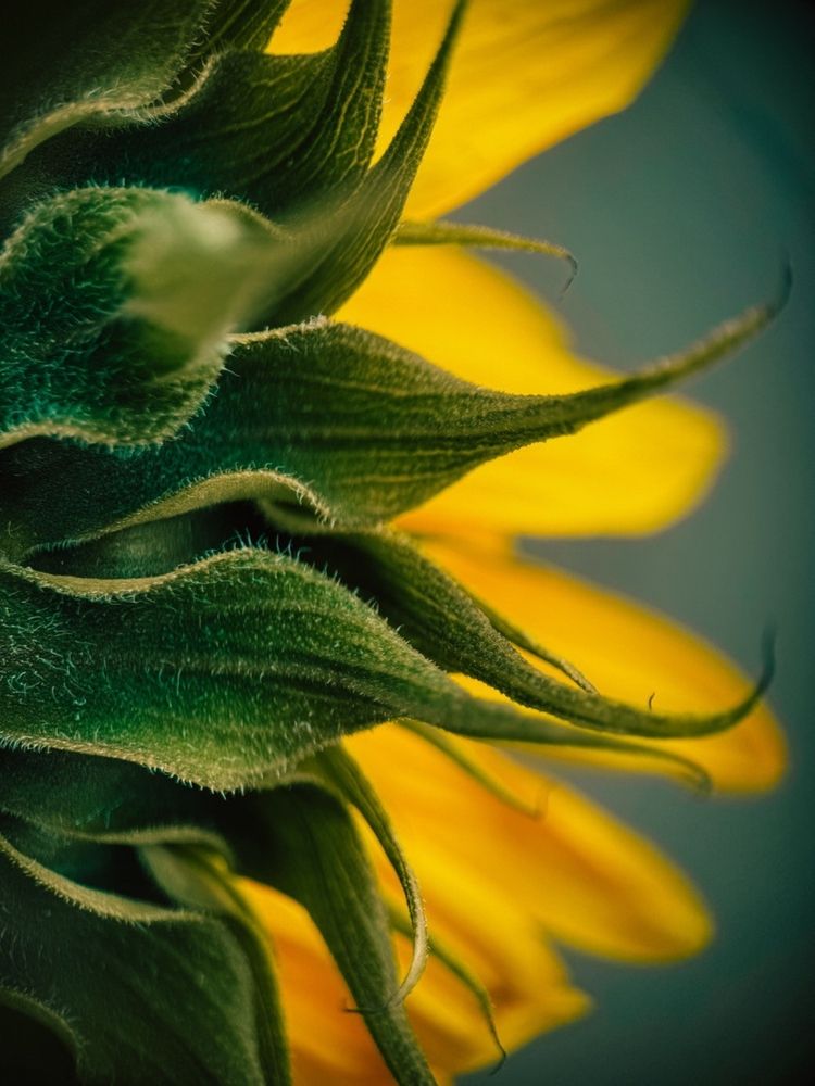 Фотография автора Мария