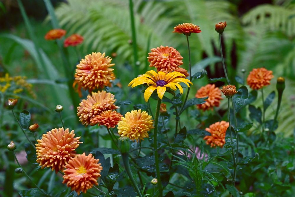 Photograph by Елена Масленникова