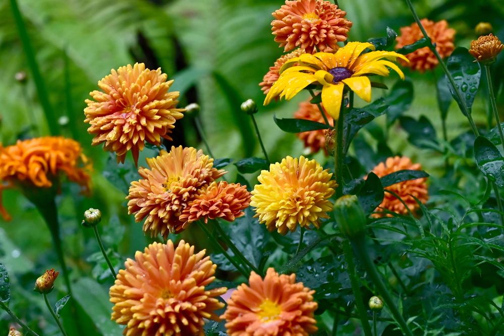 Photograph by Елена Масленникова