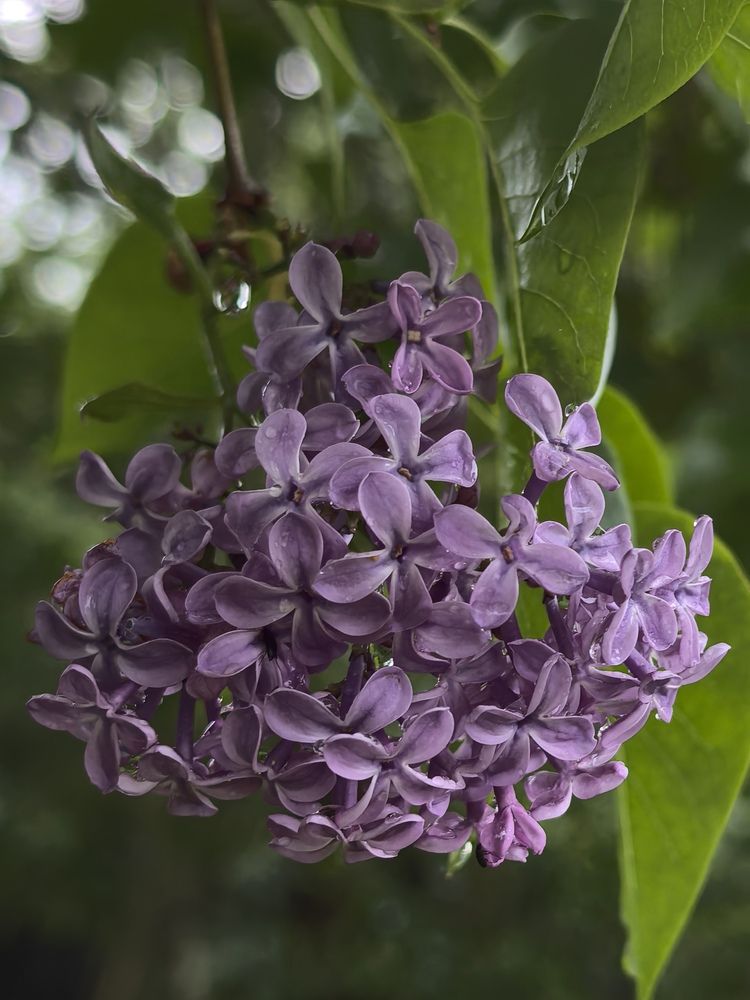 Photograph by Екатерина Борисовна Кузьмина