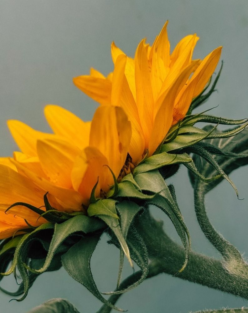 Фотография автора Мария