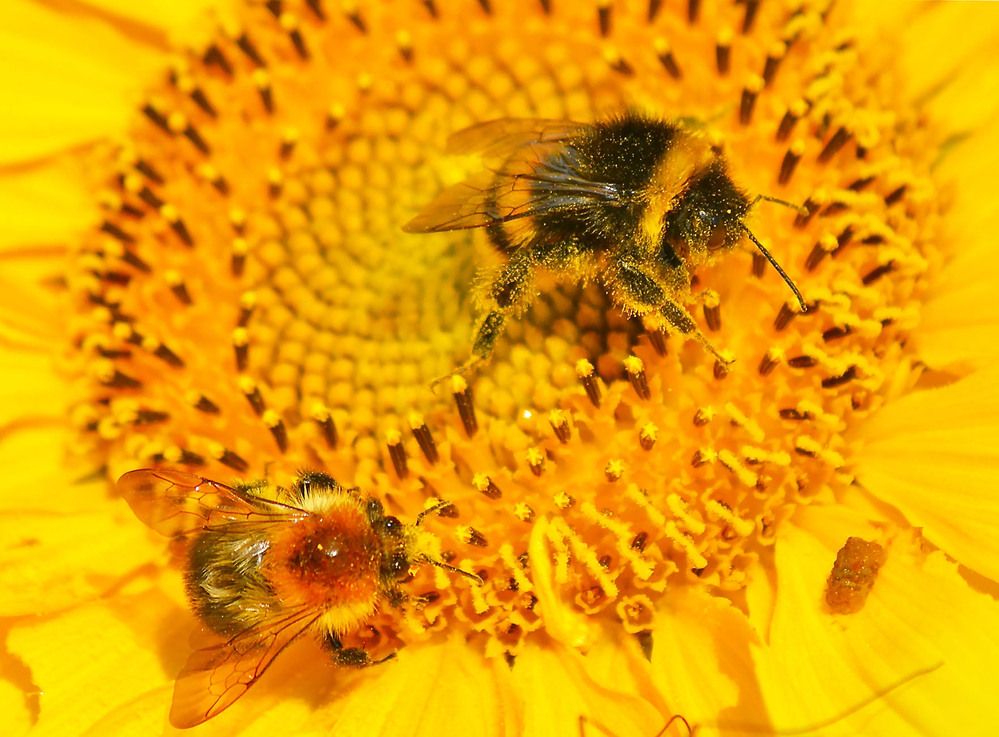 Photograph by Marjo Steffen