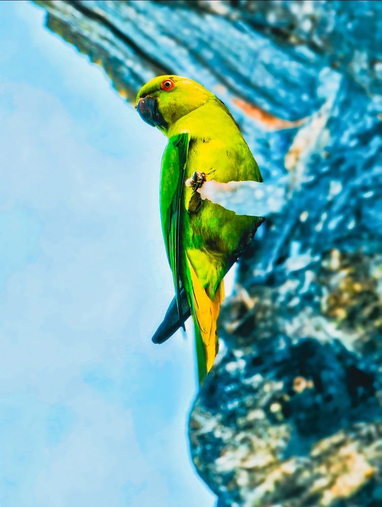 Photograph by Rashad Rafeudeen