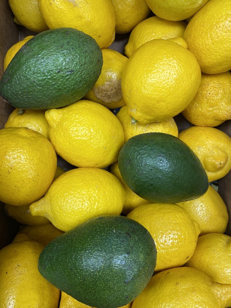 Photograph by Сергей Смирнов