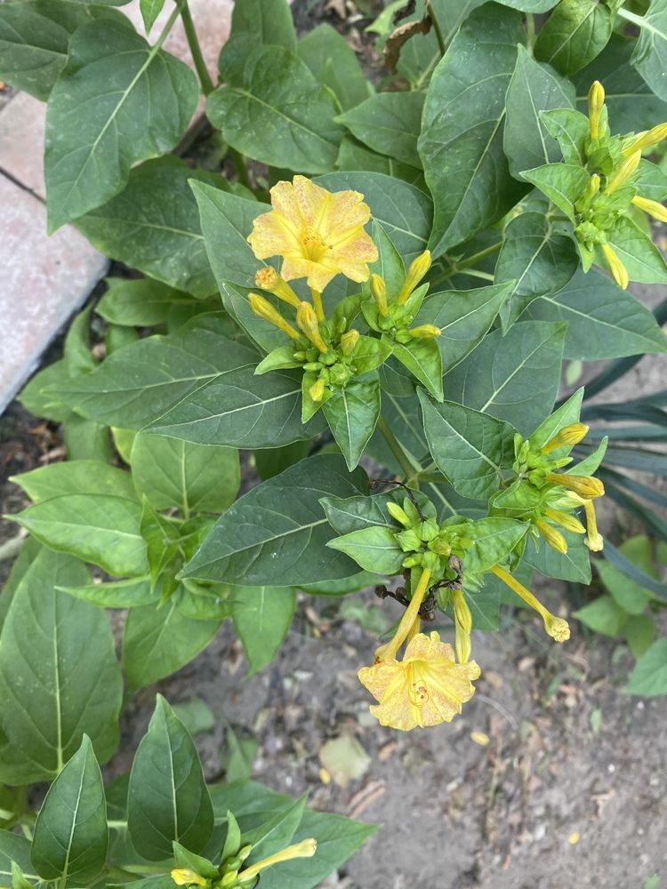 Photograph by Сергей Смирнов