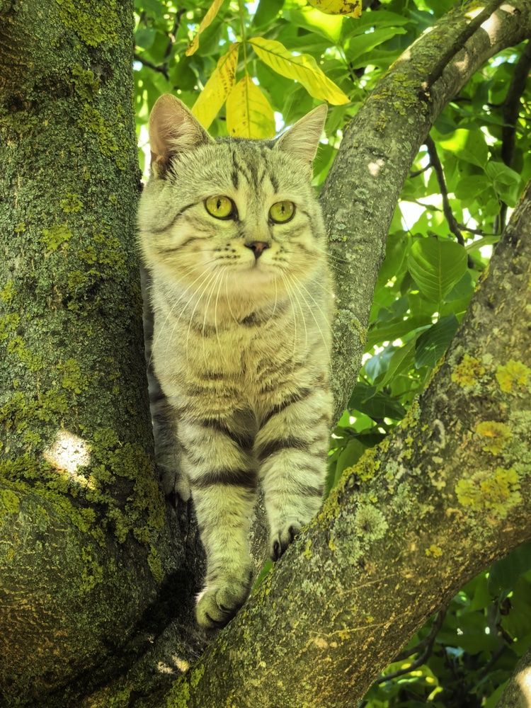Photograph by Екатерина Борисовна Кузьмина