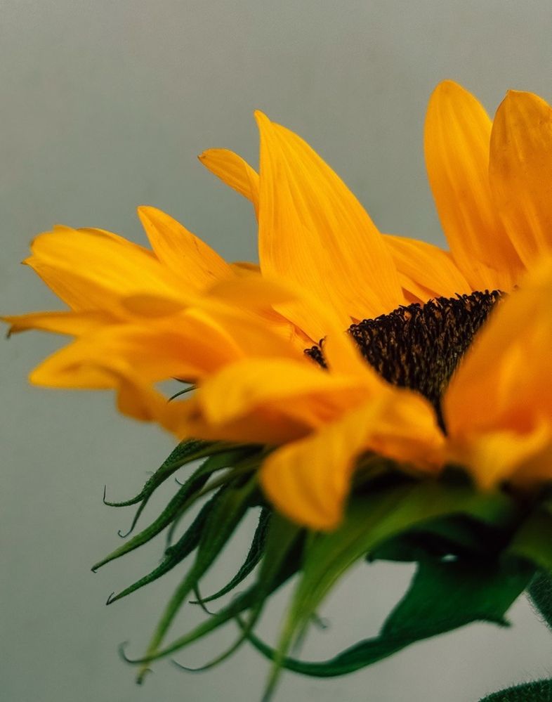 Фотография автора Мария